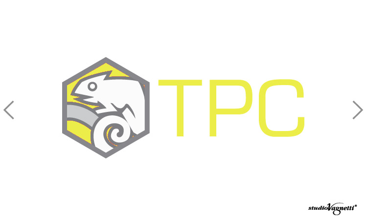 progettazione logotipi progettazione marchi, 